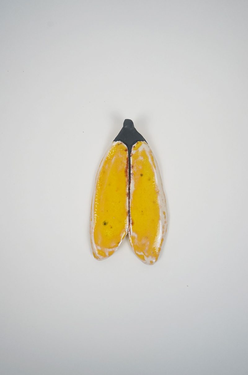 alagonda-back-to-my-roots-vlinder-groot-geel