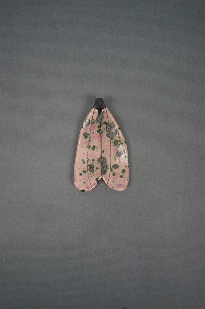 alagonda-vlinder-groot-lila