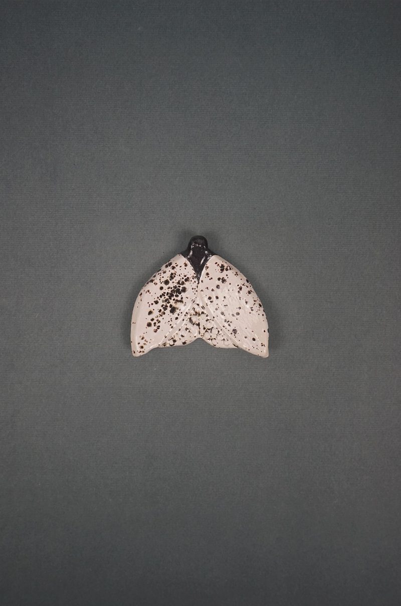 alagonda-vlinder-middel-wit-spikkel