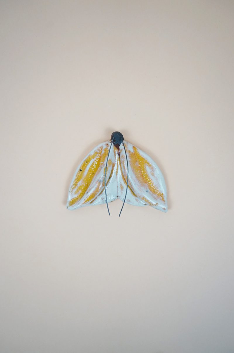 alagonda-geel-vlinders-klein-breed