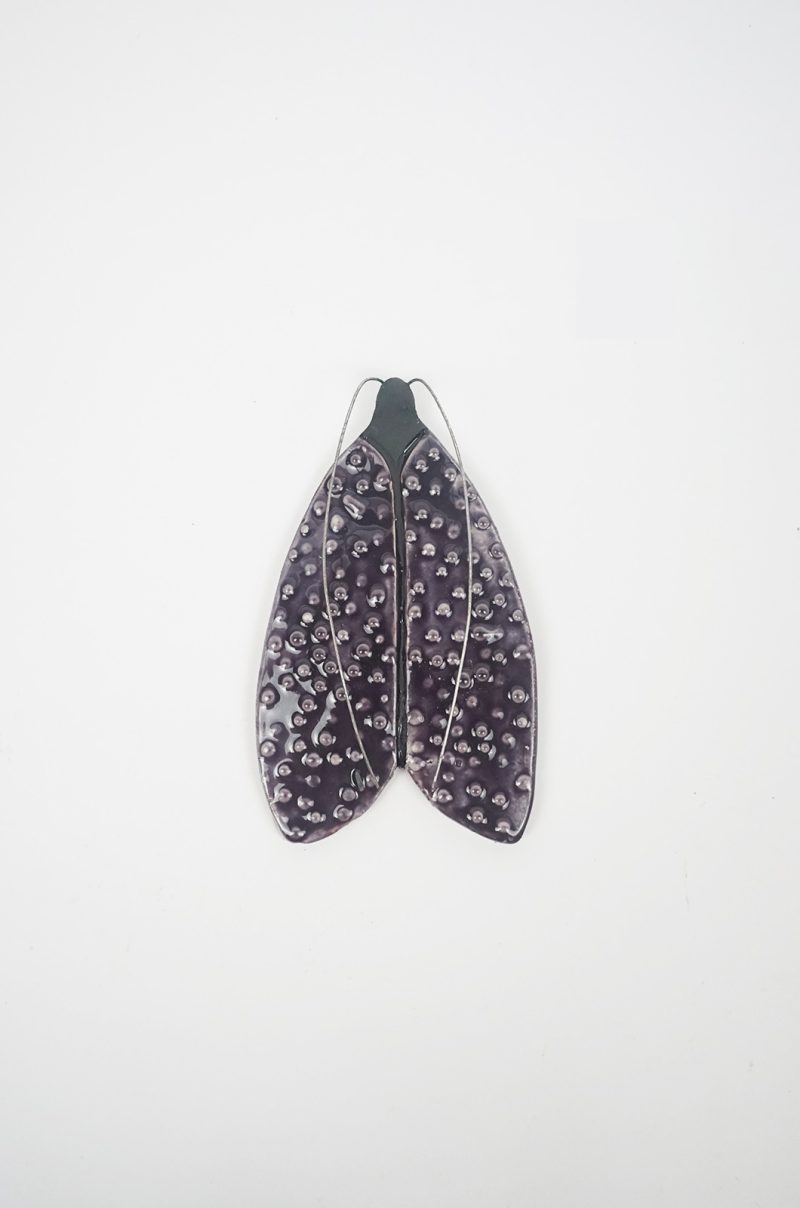 alagonda-paars-vlinder-groot