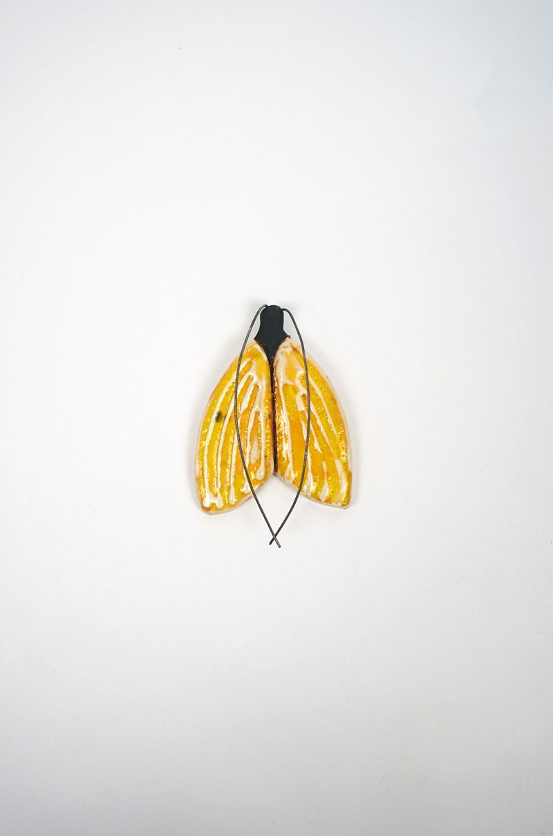 alagonda-vlinder-geel-klein