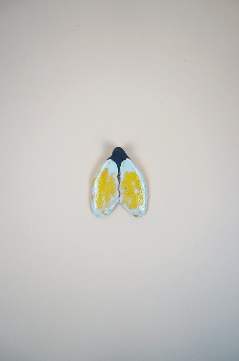 alagonda-vlinder-geel-klein2