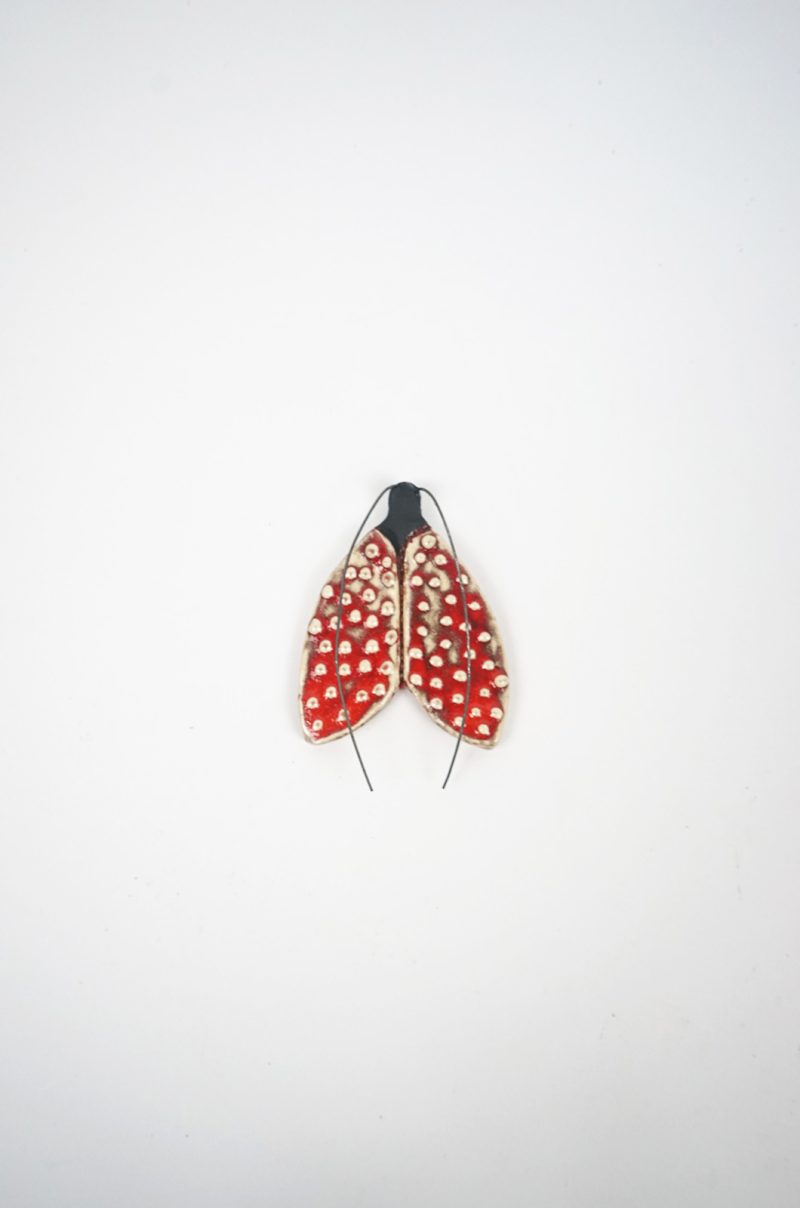 alagonda-vlinders-rood-klein